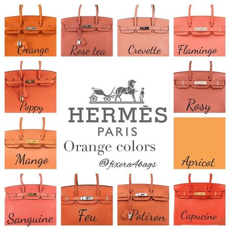 what is the most popular color for hermes birkin|Hermes luggage color chart.